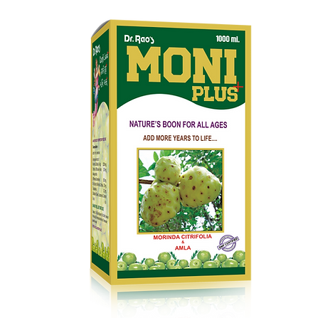 MONI PLUS