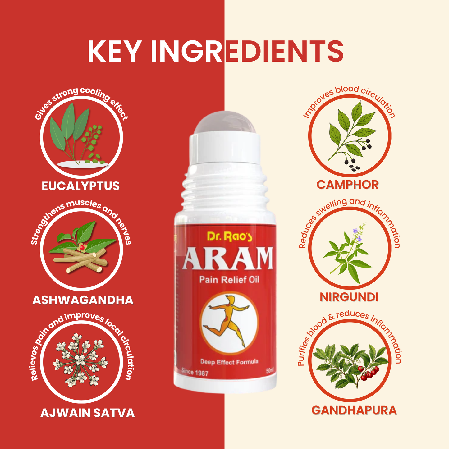 Back Pain, Knee Pain & Muscle Recovery Support – Aram Ayurvedic Pain Relief Oil (Roll-On Available)