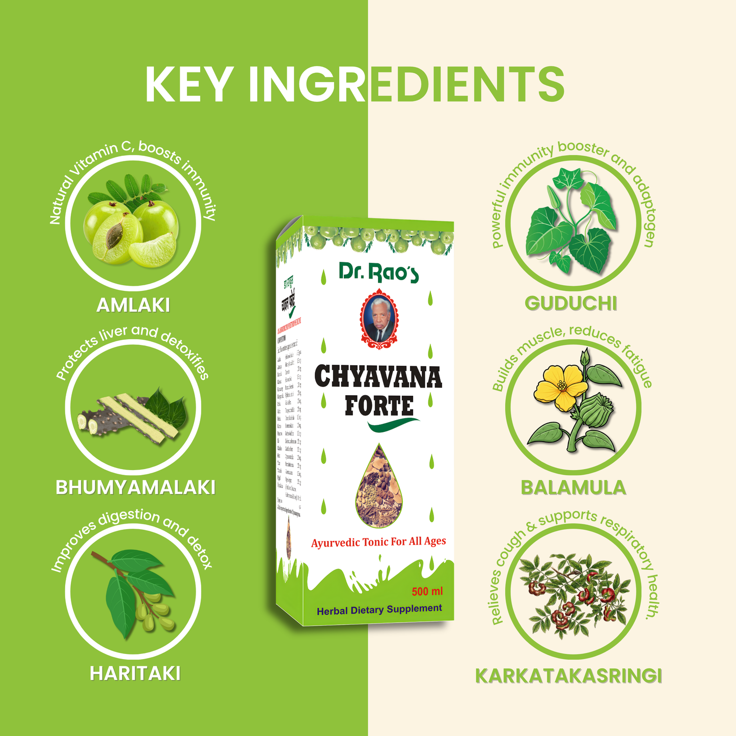 Rejuvenation, Respiratory Health & Immunity Support – Chyavana Forte Ayurvedic Tonic