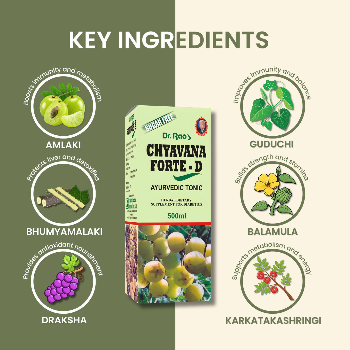 Sugar-Free Immunity & Energy Support for Diabetic Care – Chyavana Forte-D Ayurvedic Tonic