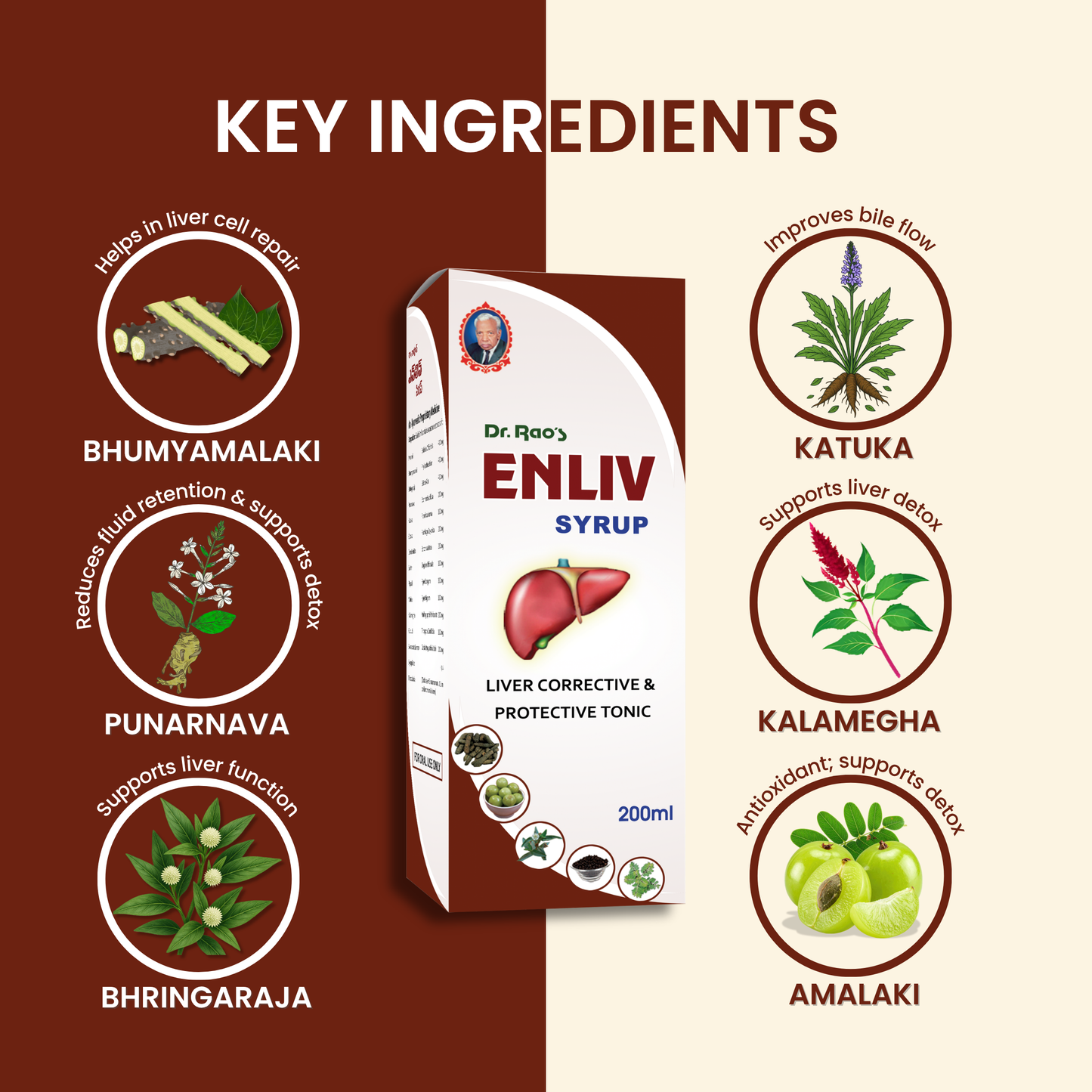 Liver Detox, Improved Digestion & Metabolic Health Support – Enliv Ayurvedic Liver Syrup